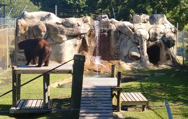 Alabama Gulf Coast Zoo（United States）