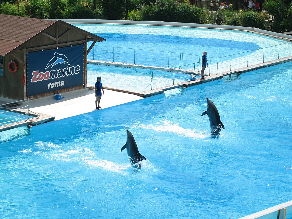 Zoomarine（Italy）