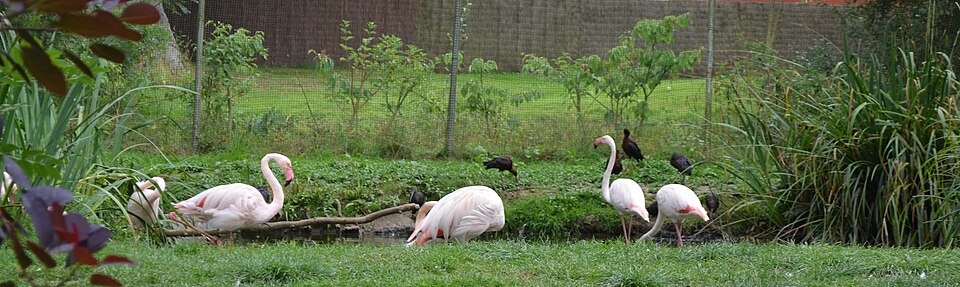 Zooparc de Trégomeur（France）