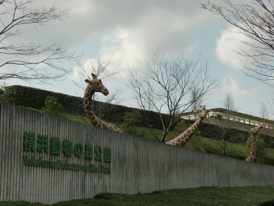 Zoorasia（Japan）