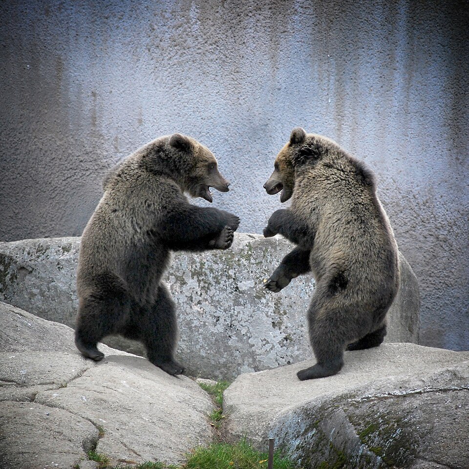 Ähtäri Zoo（Finland）