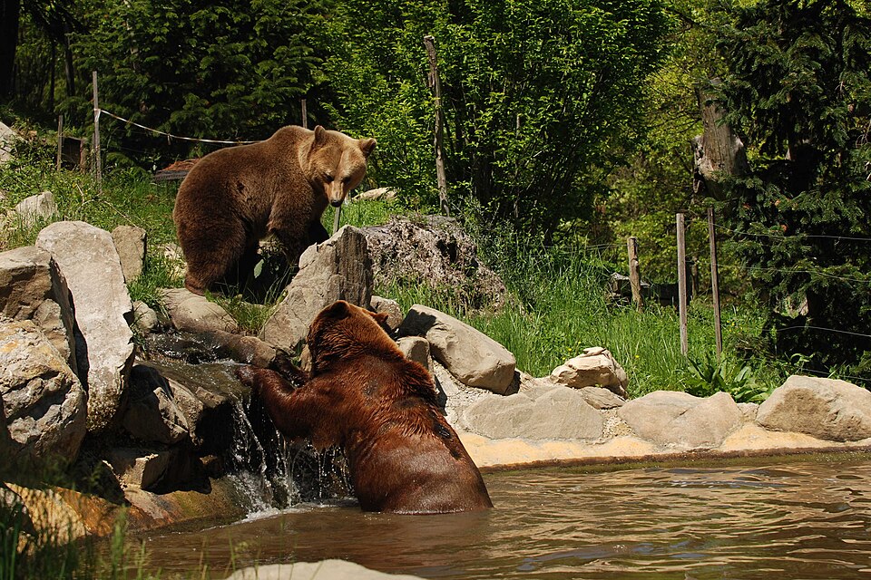 Zoo di Pistoia（Italy）