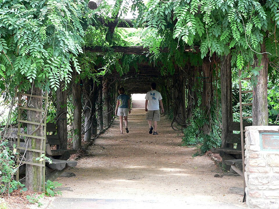 Coker Arboretum（United States）