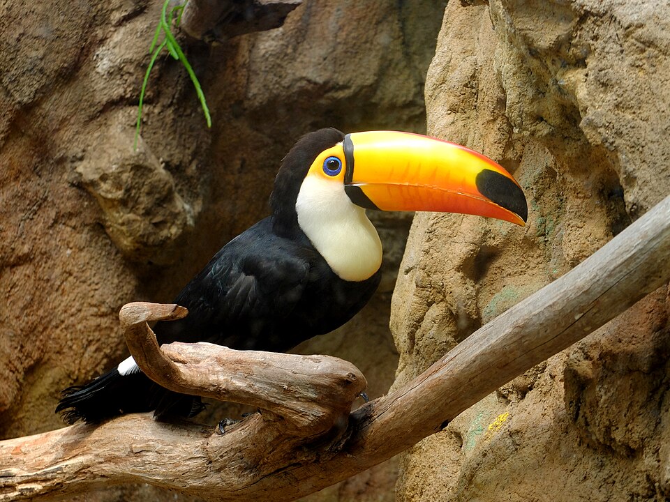 Vogelpark Avifauna（Netherlands）