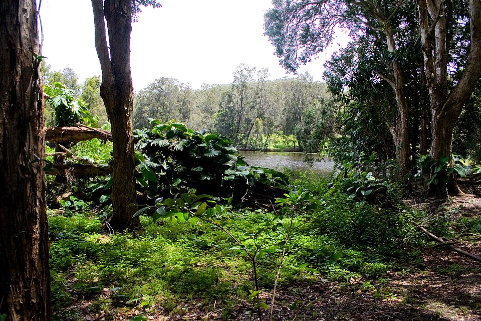 Currumbin Wildlife Sanctuary（Australia）