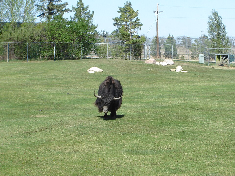 Forestry Farm Park and Zoo（Canada）