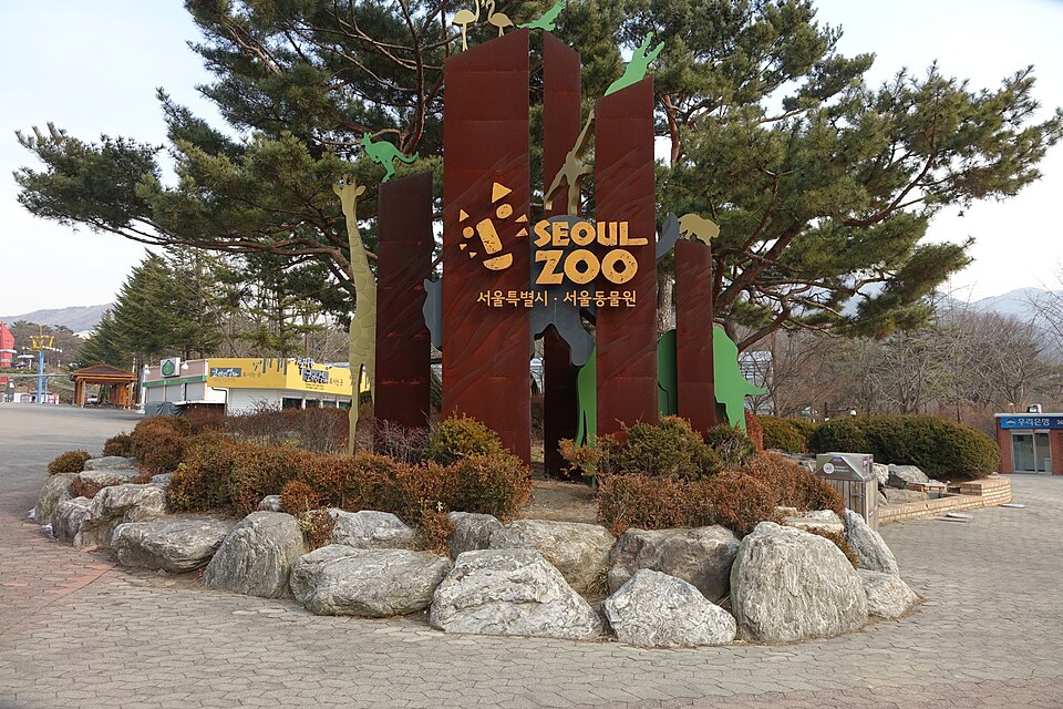 Seoul Zoo（South Korea）