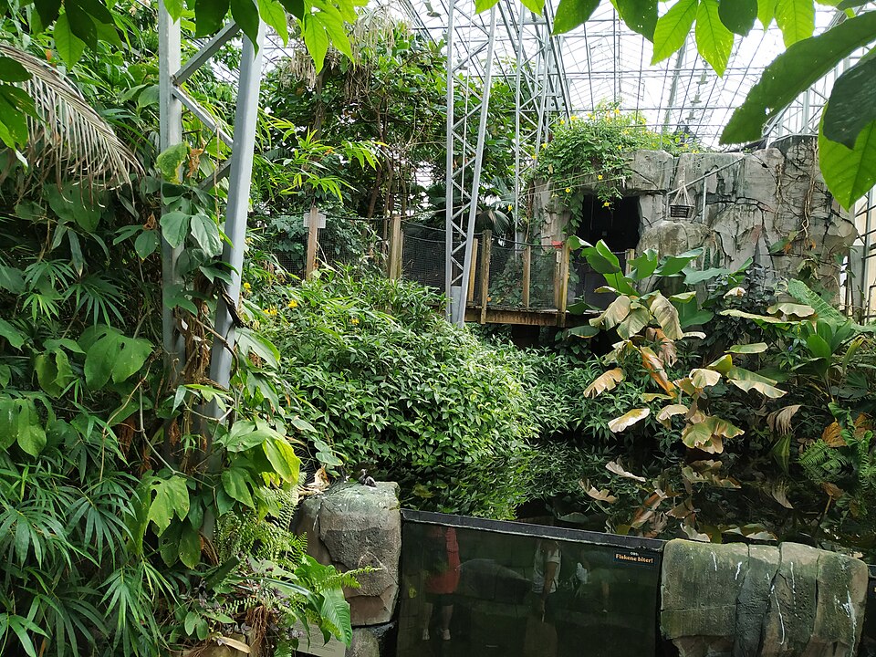 The Little Zoo（Norway）