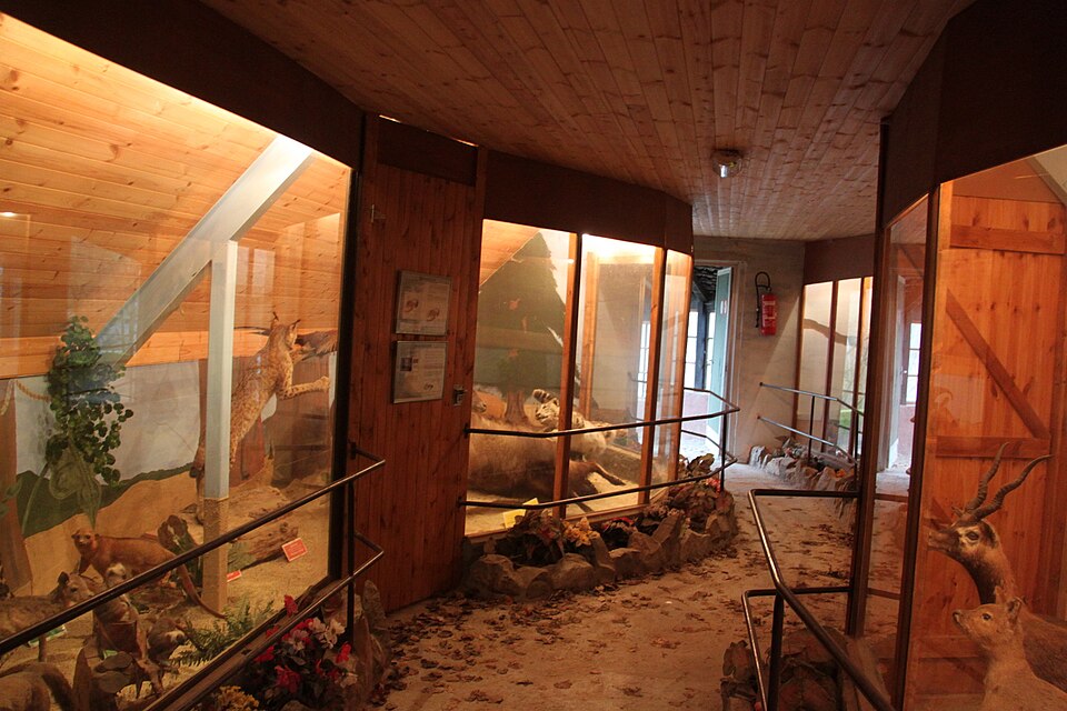 Olmen Zoo（Belgium）