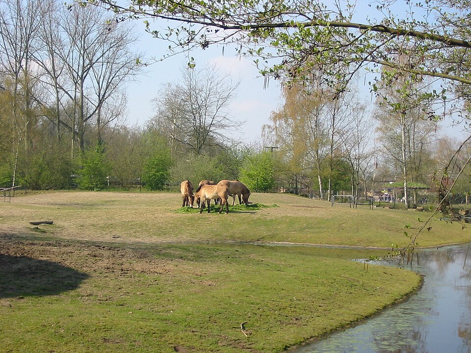 Planckendael Zoo（Belgium）
