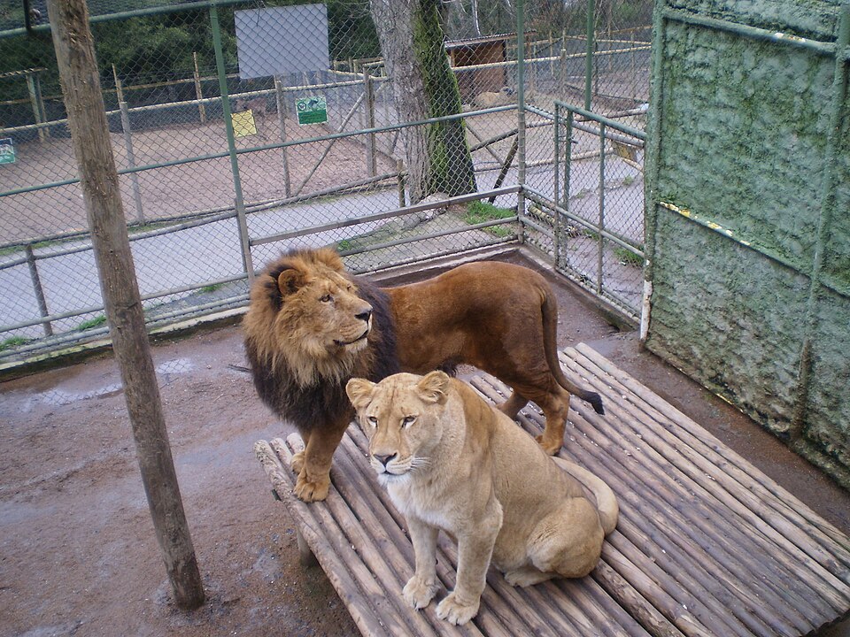 Zoológico de Concepción（Chile）