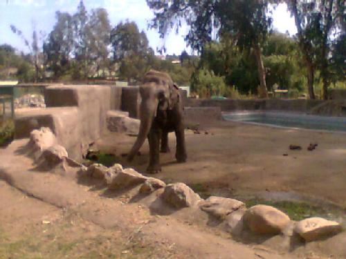 Zoológico de Quilpué（Chile）