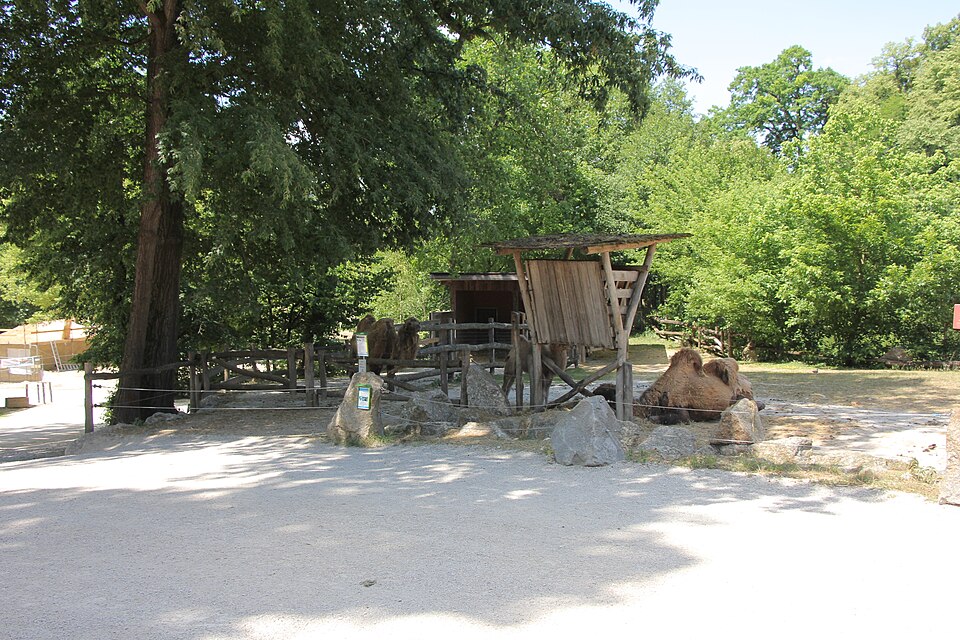 Tierpark Haag（Austria）