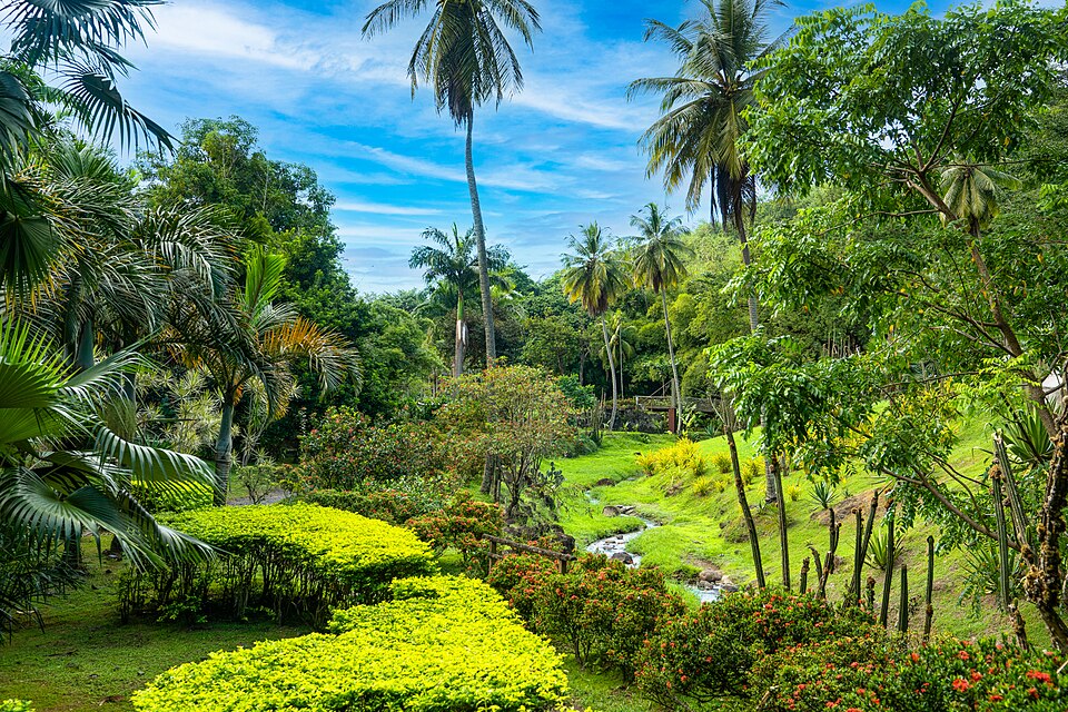Zoo de Martinique（France）