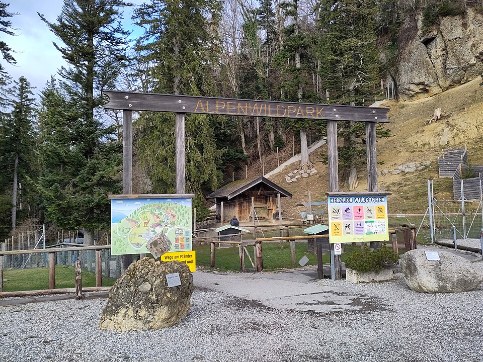 Alpine Wildlife Park Pfänder（Austria）