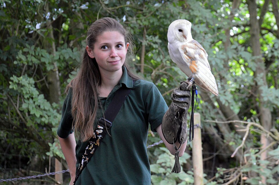 Willow's Birds of Prey & Wildlife Trail（United Kingdom）