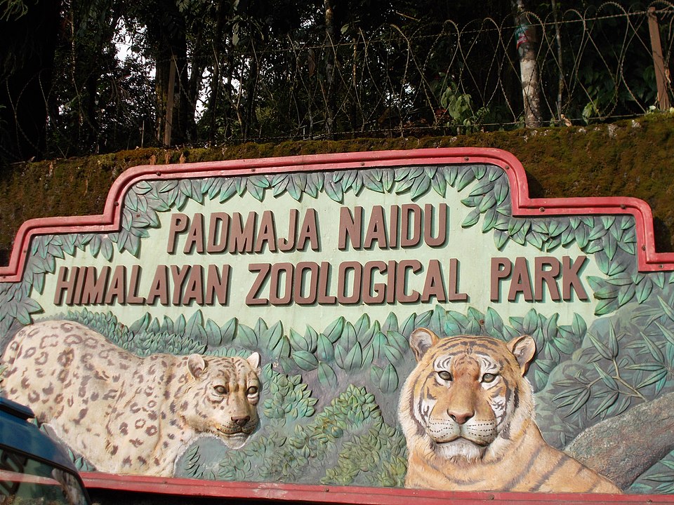 Padmaja Naidu Himalayan Zoological Park（India）