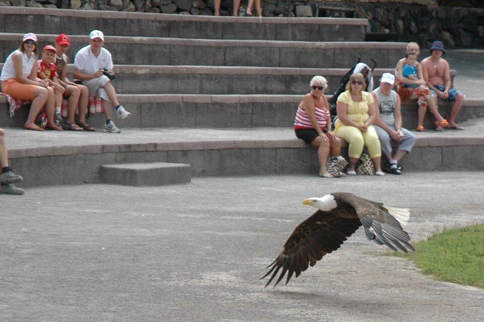 Las Águilas Jungle Park（Spain）