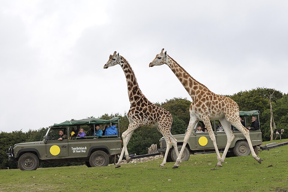 Ree Park – Ebeltoft Safari（Denmark）