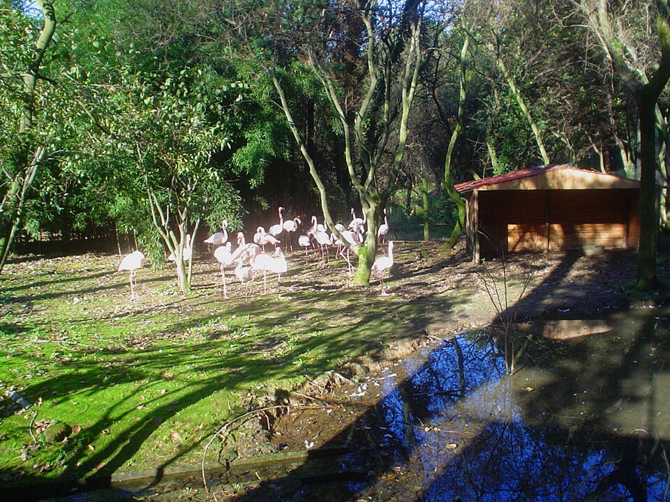 Zoo de Lourosa（Portugal）