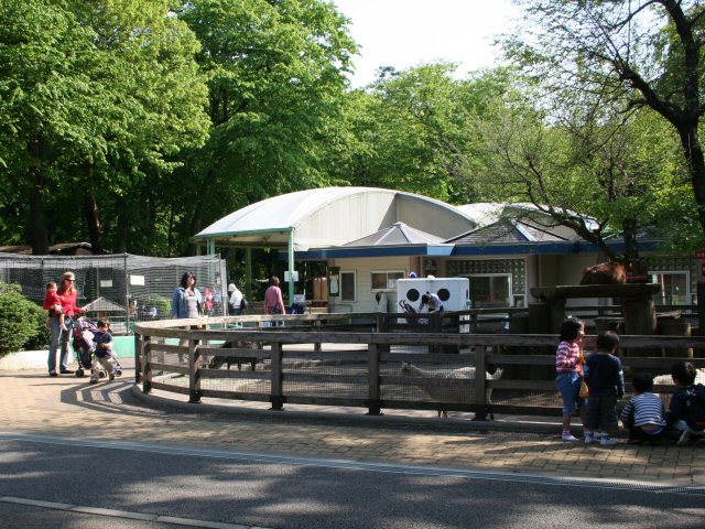 Inokashira Park Zoo（Japan）