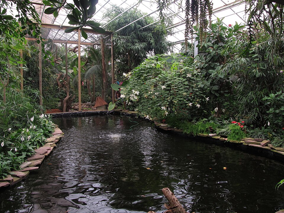 Berkenhof 's Tropical Zoo & Vlindertuin（Netherlands）
