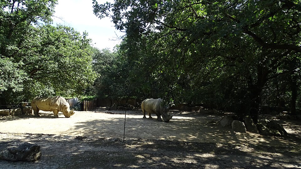 Parc zoologique de Plaisance du Touch（France）