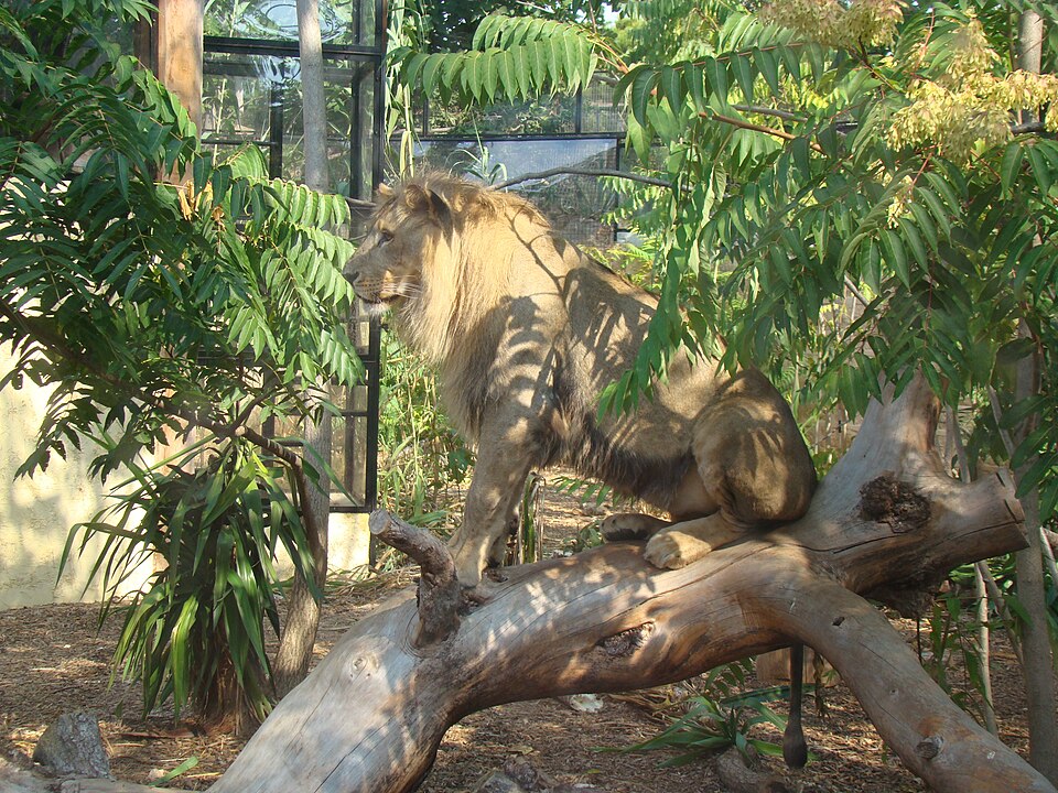 Parc zoologique du Cap Ferrat（France）