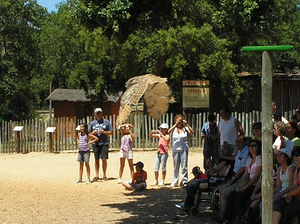 Badoca Safari Park（Portugal）