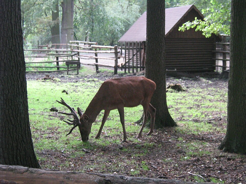 Zoo Nowy Tomyśl（Poland）