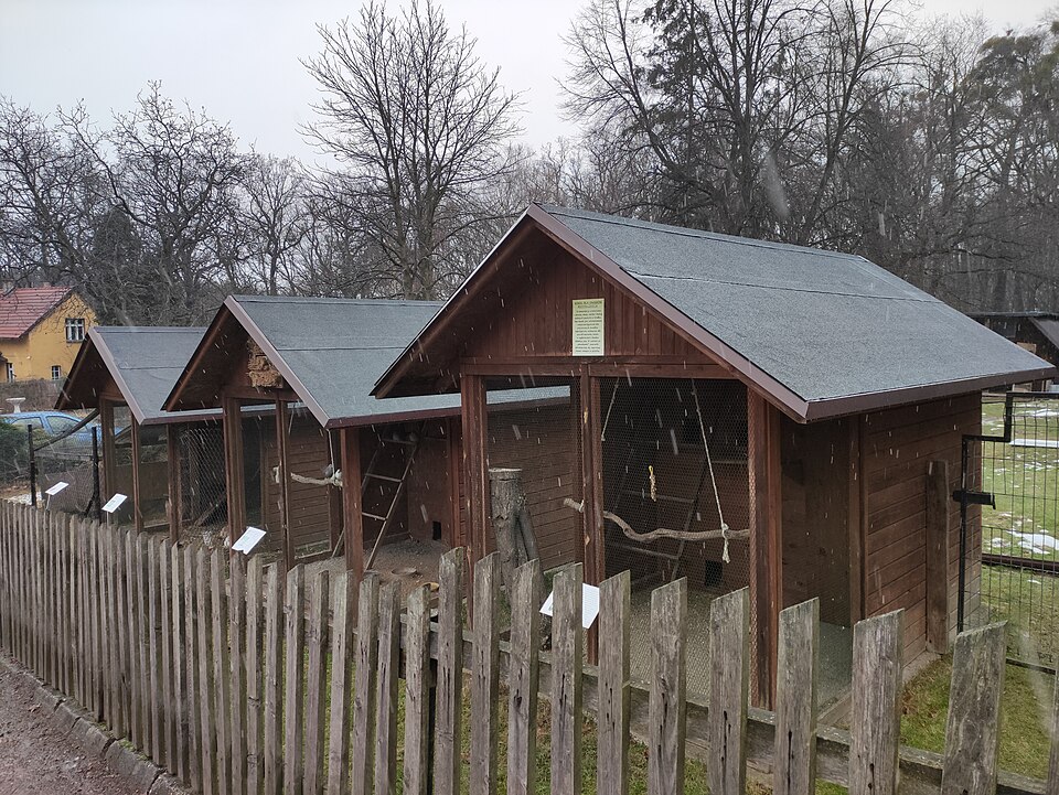 Mini-Zoo（Poland）