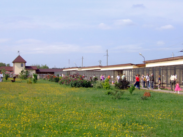 Bird Park（Russia）