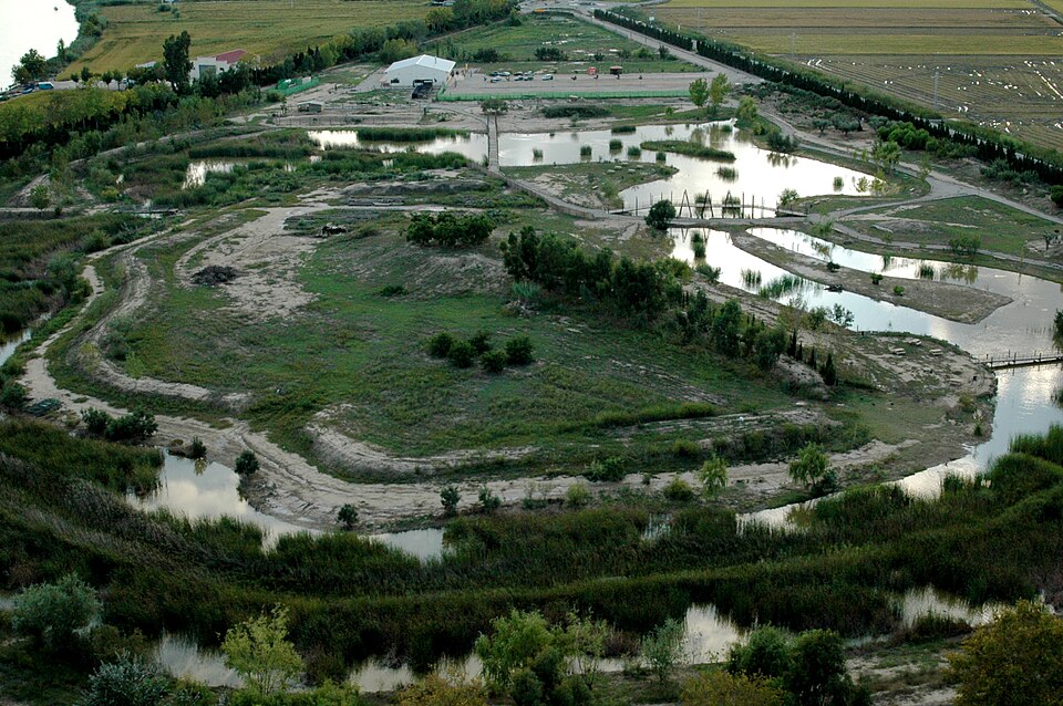 Deltarium（Spain）