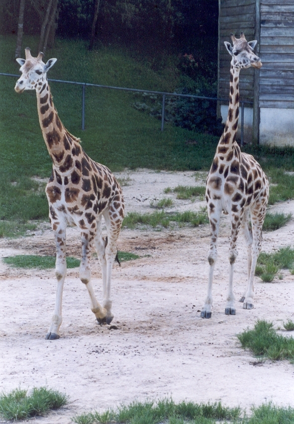 Curitiba Zoo（Brazil）