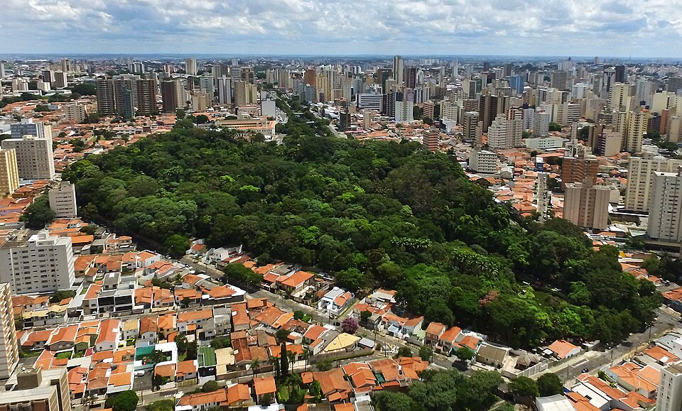 Bosque dos Jequitibás（Brazil）