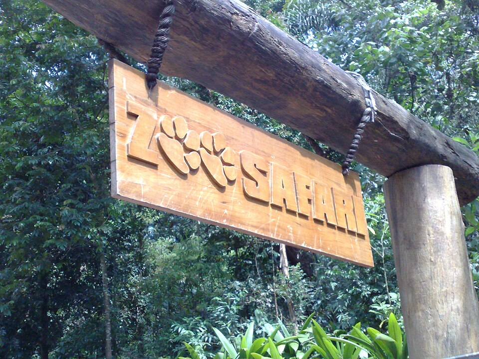 Zoo Safari（Brazil）