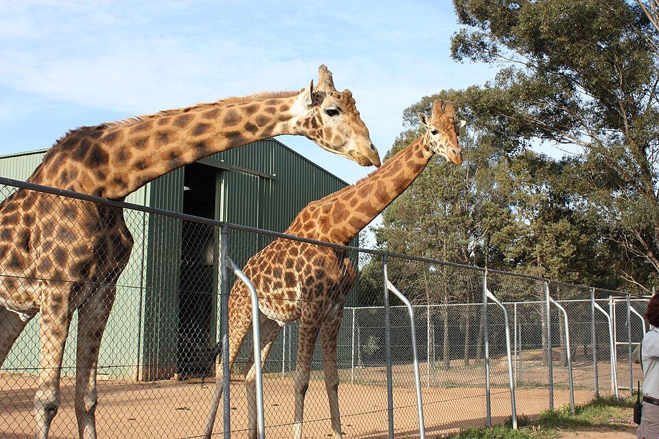 Taronga Western Plains Zoo（Australia）